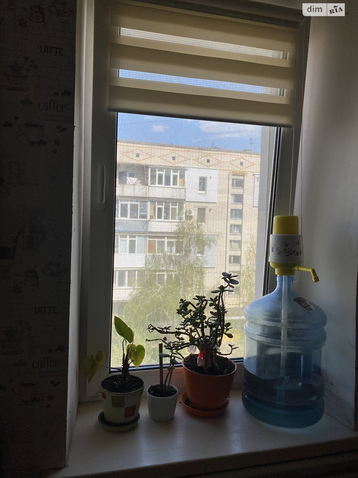 Продажа однокомнатной квартиры в Кропивницком, на ул. Государственности, район Космонавтов фото 1 Продажа однокомнатной квартиры в Кропивницком, на ул. Государственности, район Космонавтов фото 1