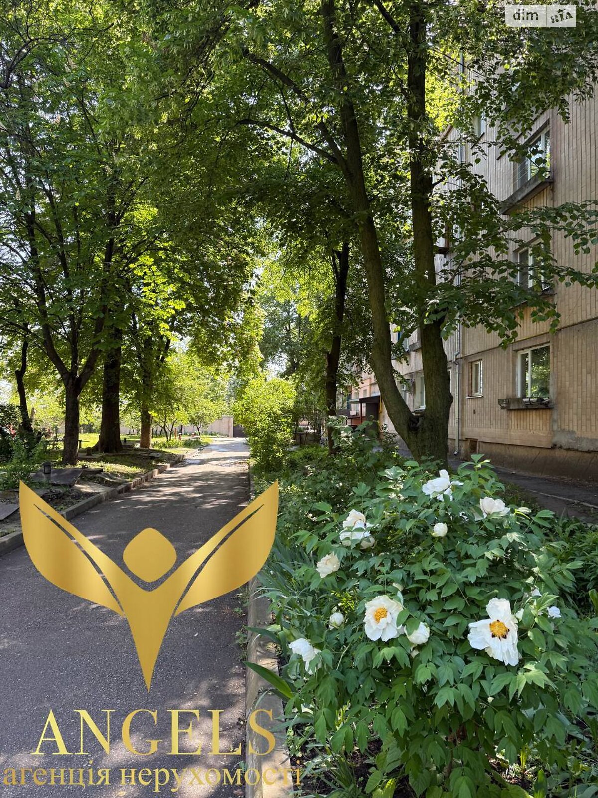 Продажа однокомнатной квартиры в Кропивницком, на ул. Королева Академика 28, район Крепостной фото 1 Продажа однокомнатной квартиры в Кропивницком, на ул. Королева Академика 28, район Крепостной фото 1