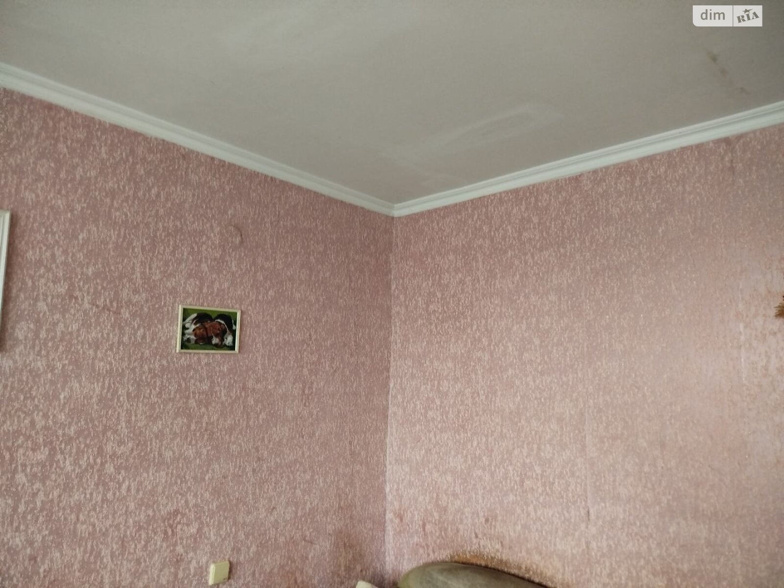 Продаж однокімнатної квартири в Кропивницькому, на вул. Нікітіна Василя, район Фортечний фото 1 Продаж однокімнатної квартири в Кропивницькому, на вул. Нікітіна Василя, район Фортечний фото 1
