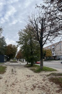 Продажа трехкомнатной квартиры в Луцке, на просп. Возрождение 20, район Теремно фото 2 Продажа трехкомнатной квартиры в Луцке, на просп. Возрождение 20, район Теремно фото 2