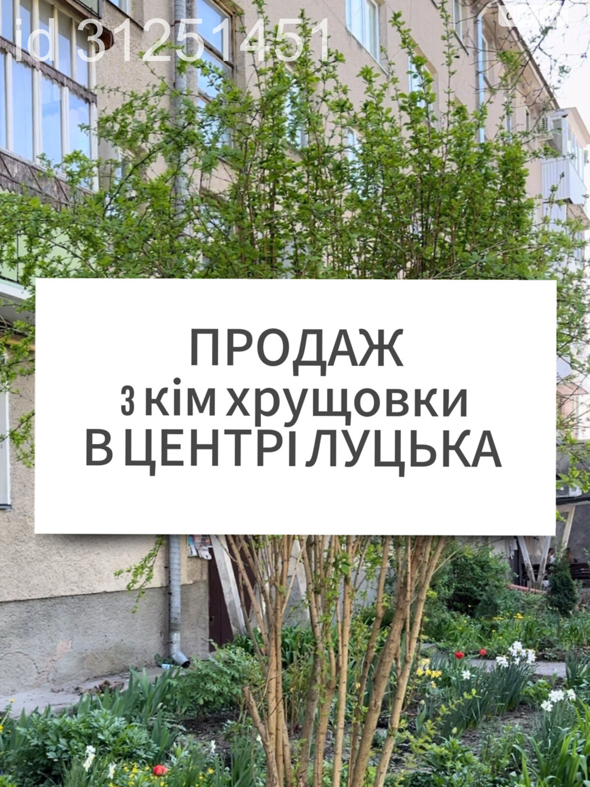 Продаж трикімнатної квартири в Луцьку, на просп. Волі, район Центр фото 1