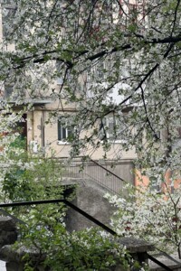 Продажа двухкомнатной квартиры в Луцке, на просп. Воли 62, район Центр фото 2