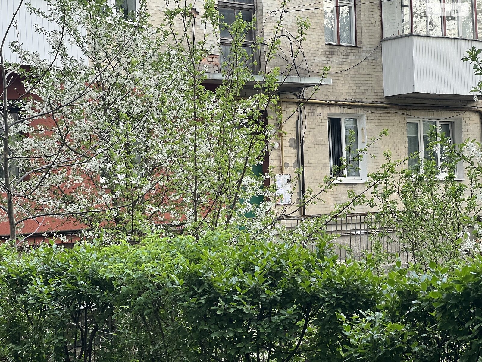 Продажа двухкомнатной квартиры в Луцке, на просп. Воли 62, район Центр фото 1 Продажа двухкомнатной квартиры в Луцке, на просп. Воли 62, район Центр фото 1