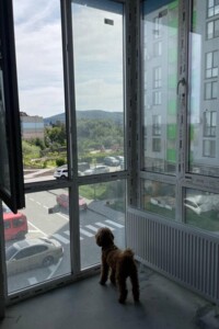 Продаж однокімнатної квартири в Львові, на вул. Бігова 17Б, район Кривчиці фото 2 Продаж однокімнатної квартири в Львові, на вул. Бігова 17Б, район Кривчиці фото 2