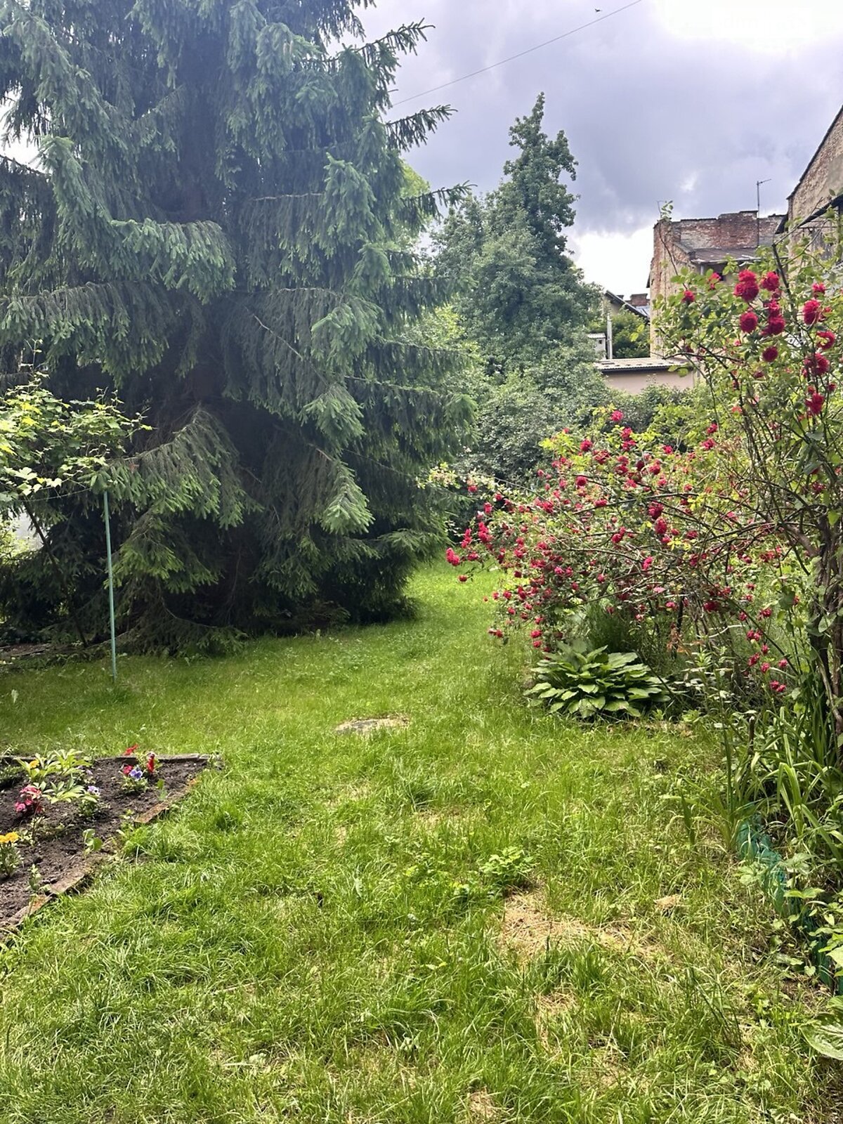 Продаж двокімнатної квартири в Львові, на вул. Зелена, район Личаків фото 1