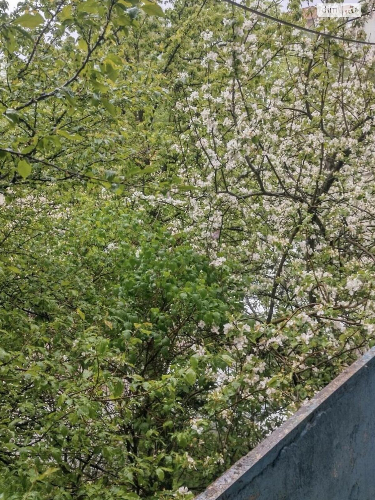 Продаж чотирикімнатної квартири в Львові, на вул. Наукова, район Наукова фото 1 Продаж чотирикімнатної квартири в Львові, на вул. Наукова, район Наукова фото 1
