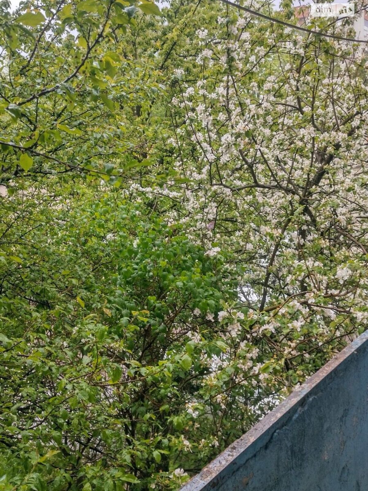Продажа четырехкомнатной квартиры в Львове, на ул. Научная, район Научная фото 1 Продажа четырехкомнатной квартиры в Львове, на ул. Научная, район Научная фото 1