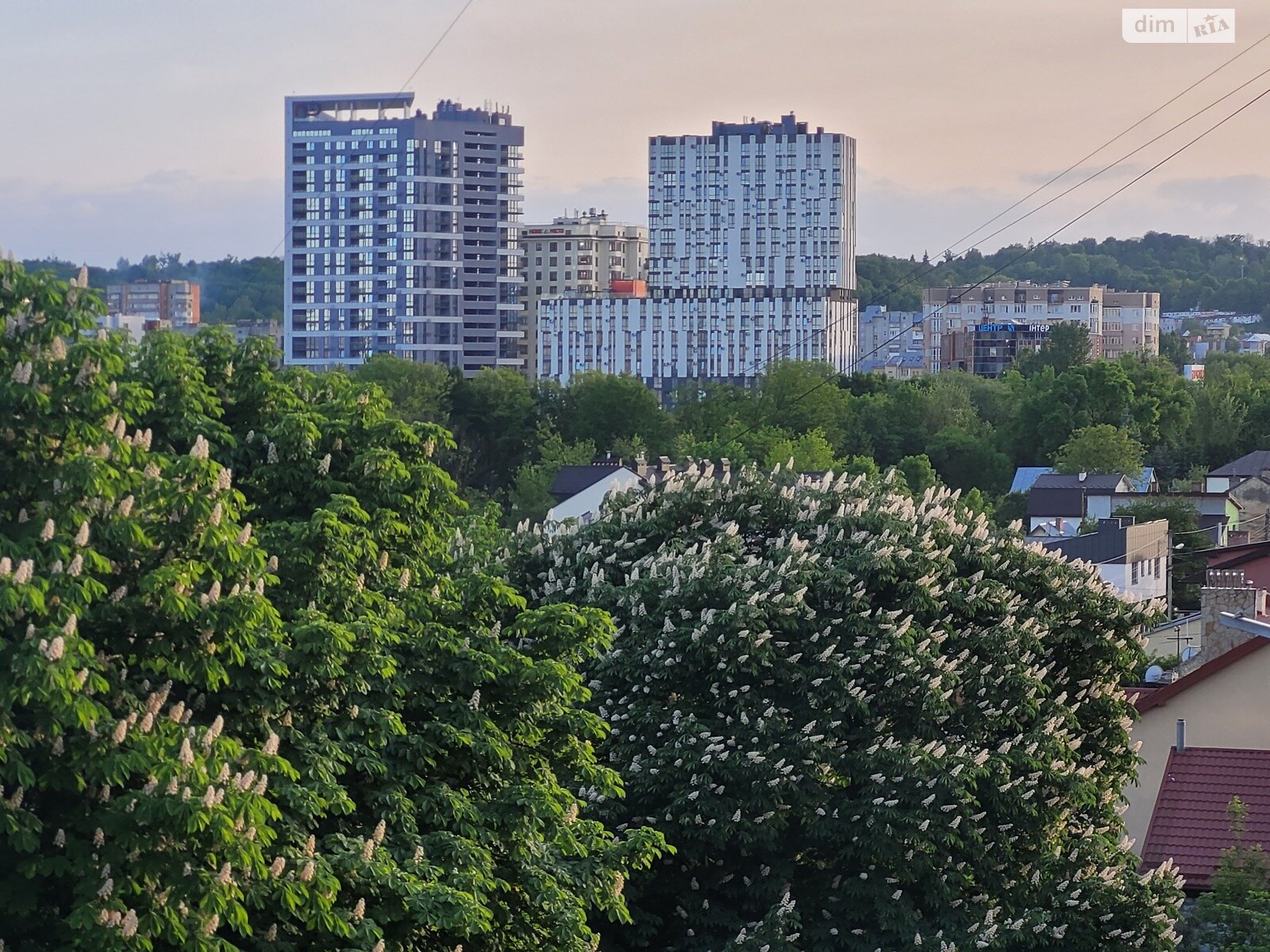 Продажа трехкомнатной квартиры в Львове, на просп. Черновола Вячеслава 67Б, район Шевченковский фото 1