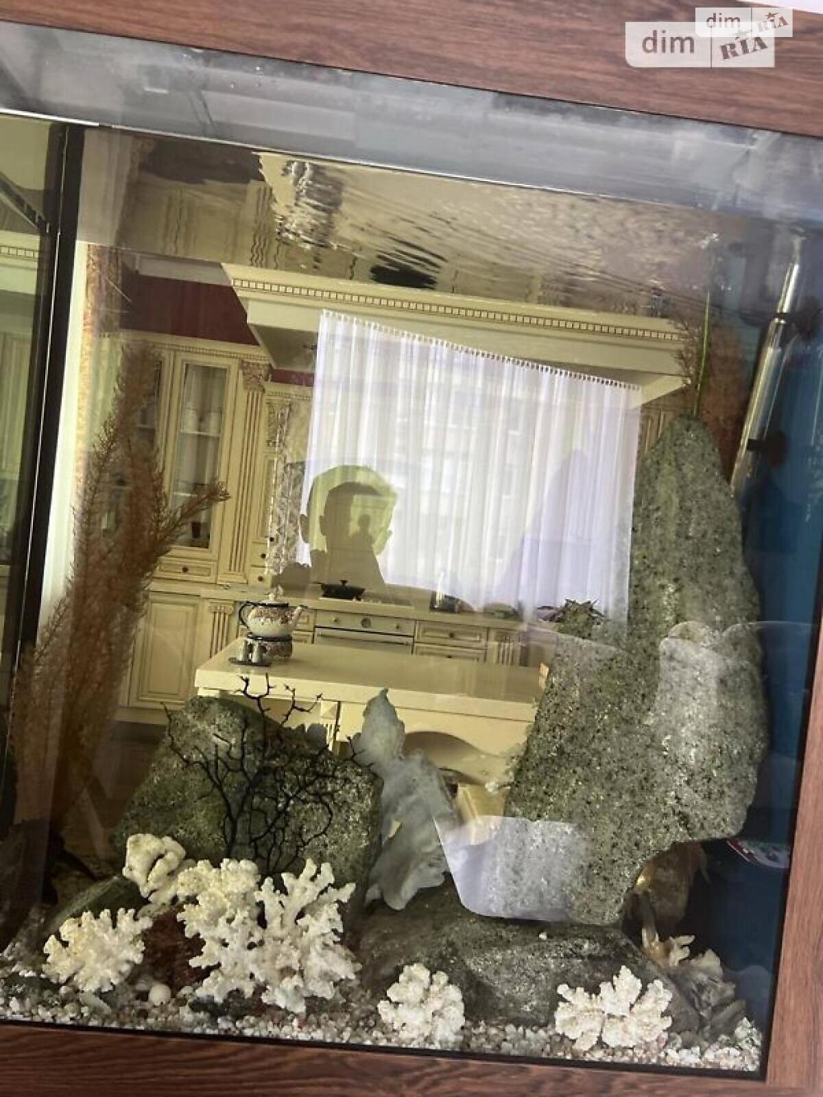 Продажа трехкомнатной квартиры в Львове, на просп. Черновола Вячеслава, район Шевченковский фото 1 Продажа трехкомнатной квартиры в Львове, на просп. Черновола Вячеслава, район Шевченковский фото 1