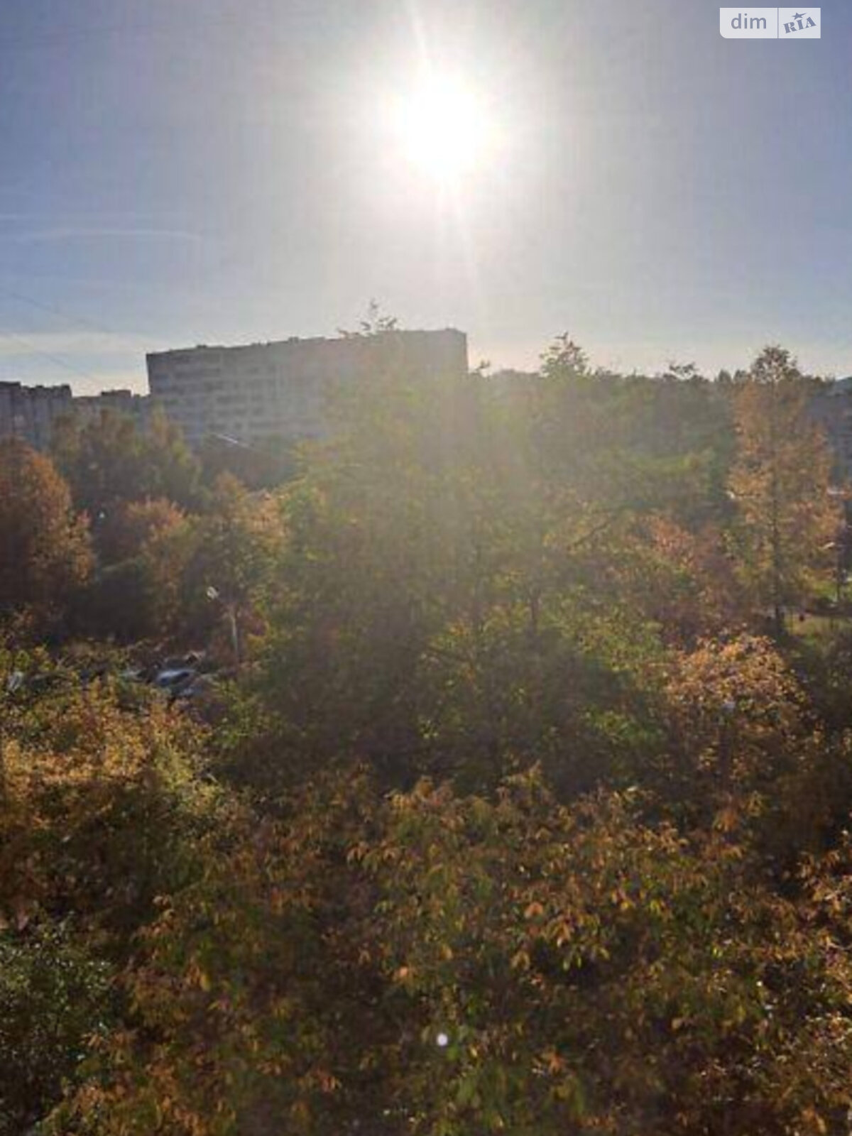 Продажа однокомнатной квартиры в Львове, на ул. Липы Юрия 10, кв. 1, район Шевченковский фото 1 Продажа однокомнатной квартиры в Львове, на ул. Липы Юрия 10, кв. 1, район Шевченковский фото 1