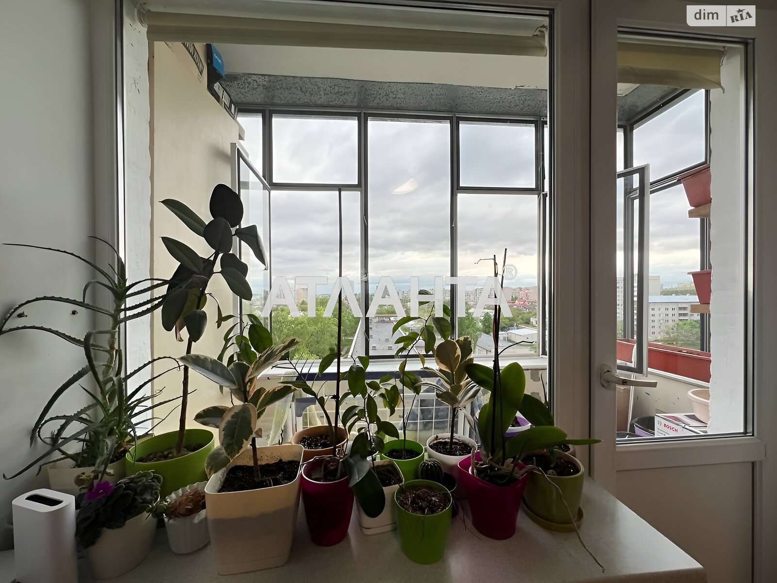 Продажа однокомнатной квартиры в Львове, на ул. Ожиновая, район Шевченковский фото 1 Продажа однокомнатной квартиры в Львове, на ул. Ожиновая, район Шевченковский фото 1