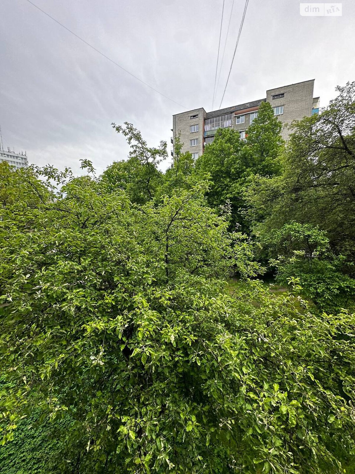 Продажа однокомнатной квартиры в Львове, на ул. Владимира Великого 3, фото 1 Продажа однокомнатной квартиры в Львове, на ул. Владимира Великого 3, фото 1
