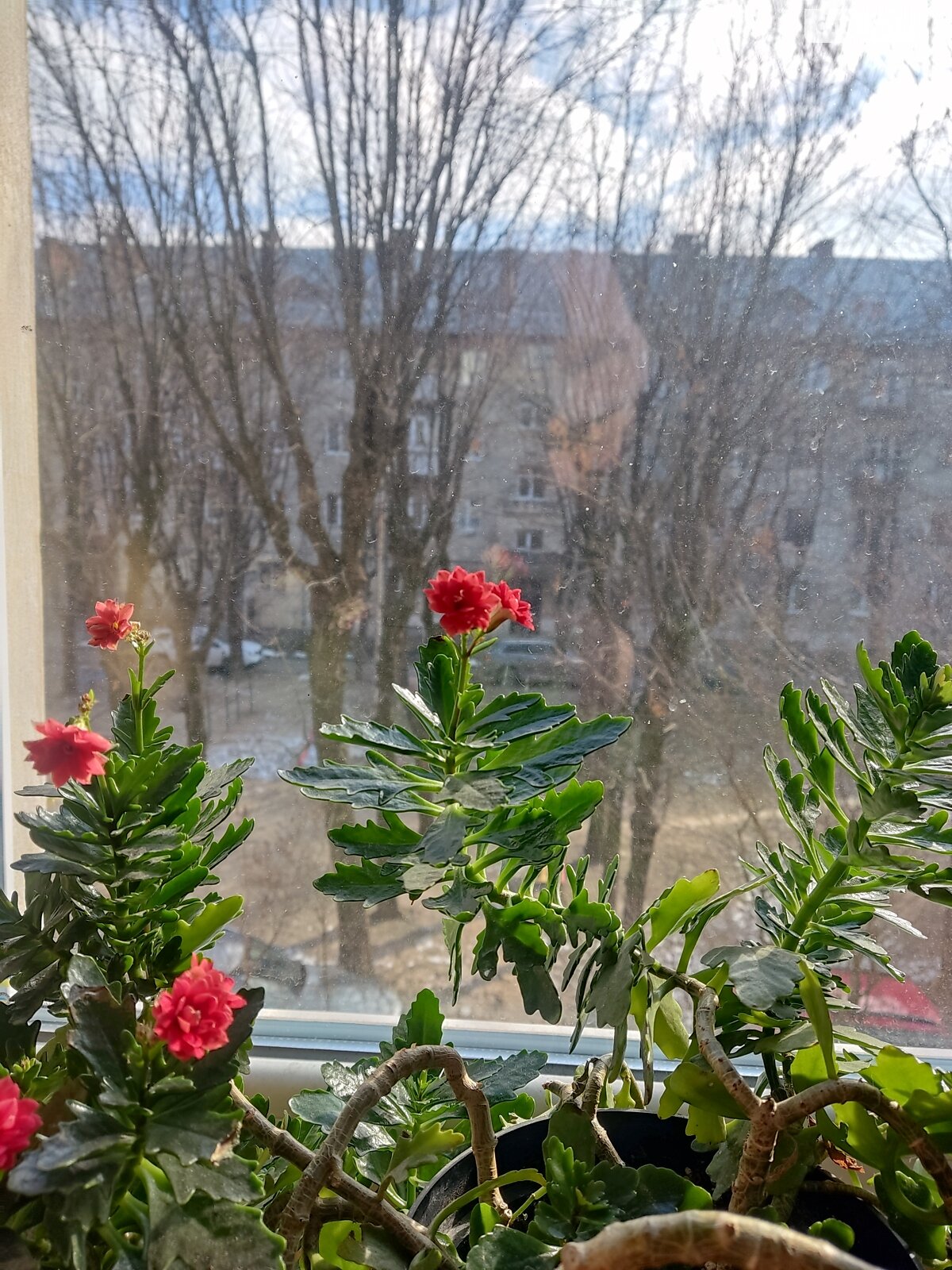 Продажа двухкомнатной квартиры в Львове, на ул. Остроградских, район Вулька фото 1 Продажа двухкомнатной квартиры в Львове, на ул. Остроградских, район Вулька фото 1