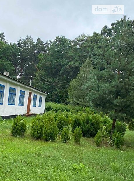 Продажа трехкомнатной квартиры в Моквинских Хуторах, на Шевченка, кв. 2, фото 1 Продажа трехкомнатной квартиры в Моквинских Хуторах, на Шевченка, кв. 2, фото 1
