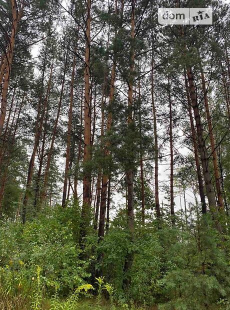 Продажа трехкомнатной квартиры в Моквинских Хуторах, на Шевченка, кв. 2, фото 1 Продажа трехкомнатной квартиры в Моквинских Хуторах, на Шевченка, кв. 2, фото 1