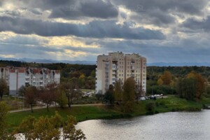 Продажа однокомнатной квартиры в Моршине, на ул. Ивана Франка, фото 2 Продажа однокомнатной квартиры в Моршине, на ул. Ивана Франка, фото 2