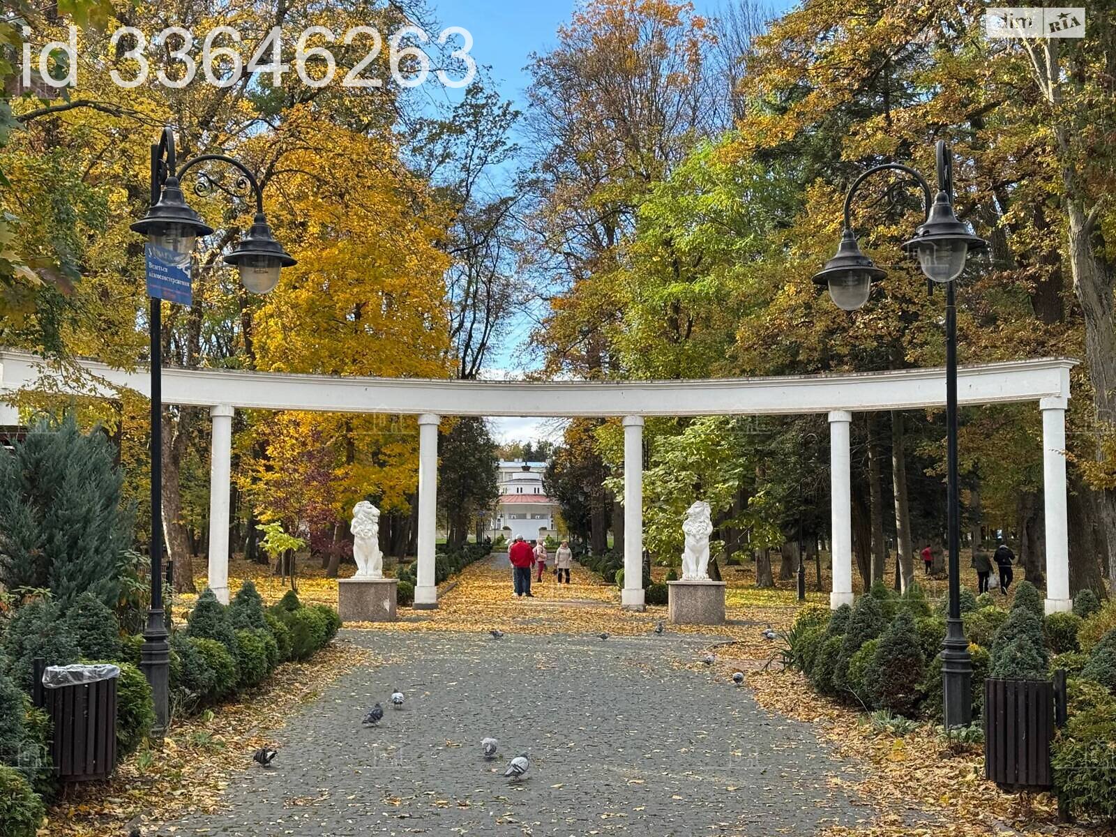 Продажа однокомнатной квартиры в Моршине, на ул. Ивана Франка, фото 1 Продажа однокомнатной квартиры в Моршине, на ул. Ивана Франка, фото 1