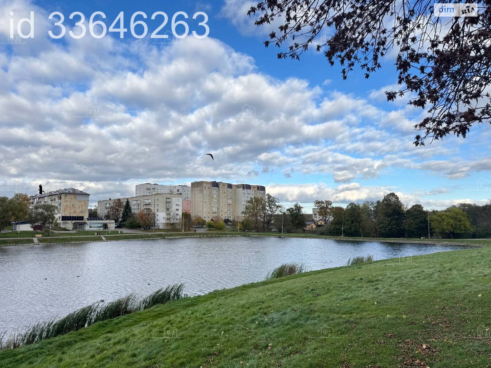 Продажа однокомнатной квартиры в Моршине, на ул. Ивана Франка, фото 1 Продажа однокомнатной квартиры в Моршине, на ул. Ивана Франка, фото 1