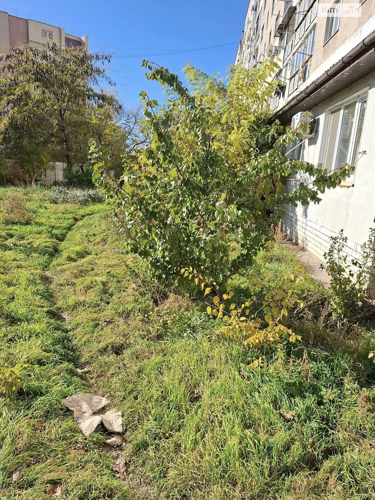 Продажа трехкомнатной квартиры в Нерубайском, на ул. Зелёная, фото 1 Продажа трехкомнатной квартиры в Нерубайском, на ул. Зелёная, фото 1