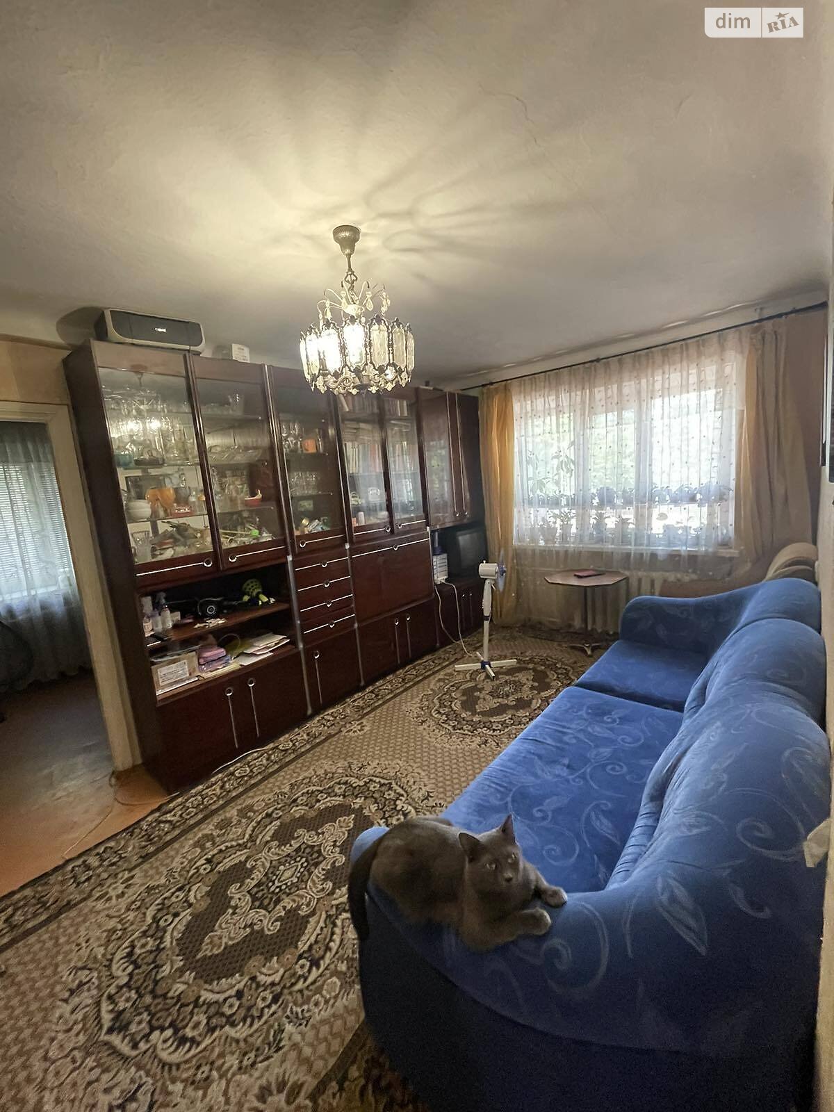 Продажа двухкомнатной квартиры в Николаеве, на ул. Вячеслава Чорневола, район Ингульский фото 1 Продажа двухкомнатной квартиры в Николаеве, на ул. Вячеслава Чорневола, район Ингульский фото 1