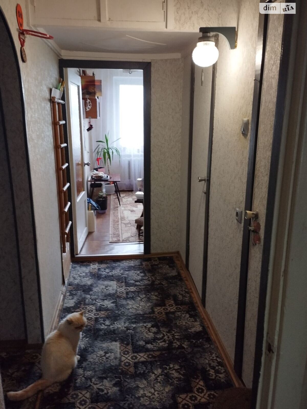 Продаж трикімнатної квартири в Миколаєві, на вул. Лазурна, район Намив фото 1 Продаж трикімнатної квартири в Миколаєві, на вул. Лазурна, район Намив фото 1