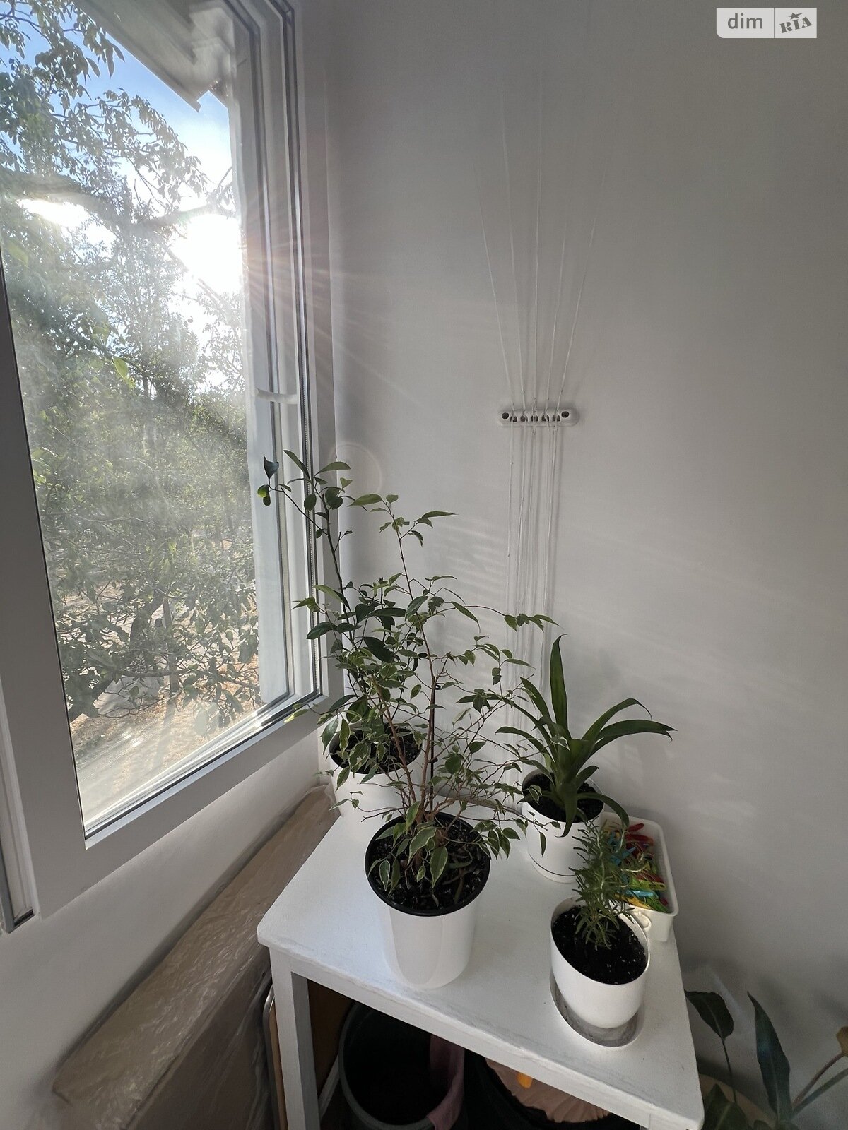 Продажа трехкомнатной квартиры в Николаеве, на просп. Мира 48, район Новый Водопой фото 1 Продажа трехкомнатной квартиры в Николаеве, на просп. Мира 48, район Новый Водопой фото 1