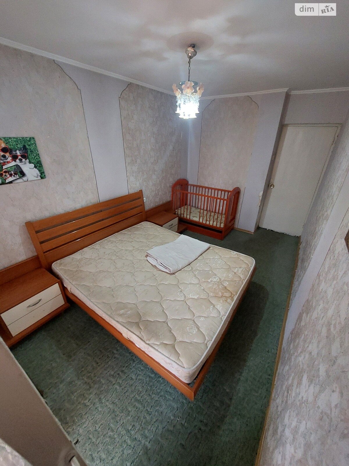 Продажа трехкомнатной квартиры в Николаеве, на ул. Игоря Бедзая 84, район Центральный фото 1 Продажа трехкомнатной квартиры в Николаеве, на ул. Игоря Бедзая 84, район Центральный фото 1