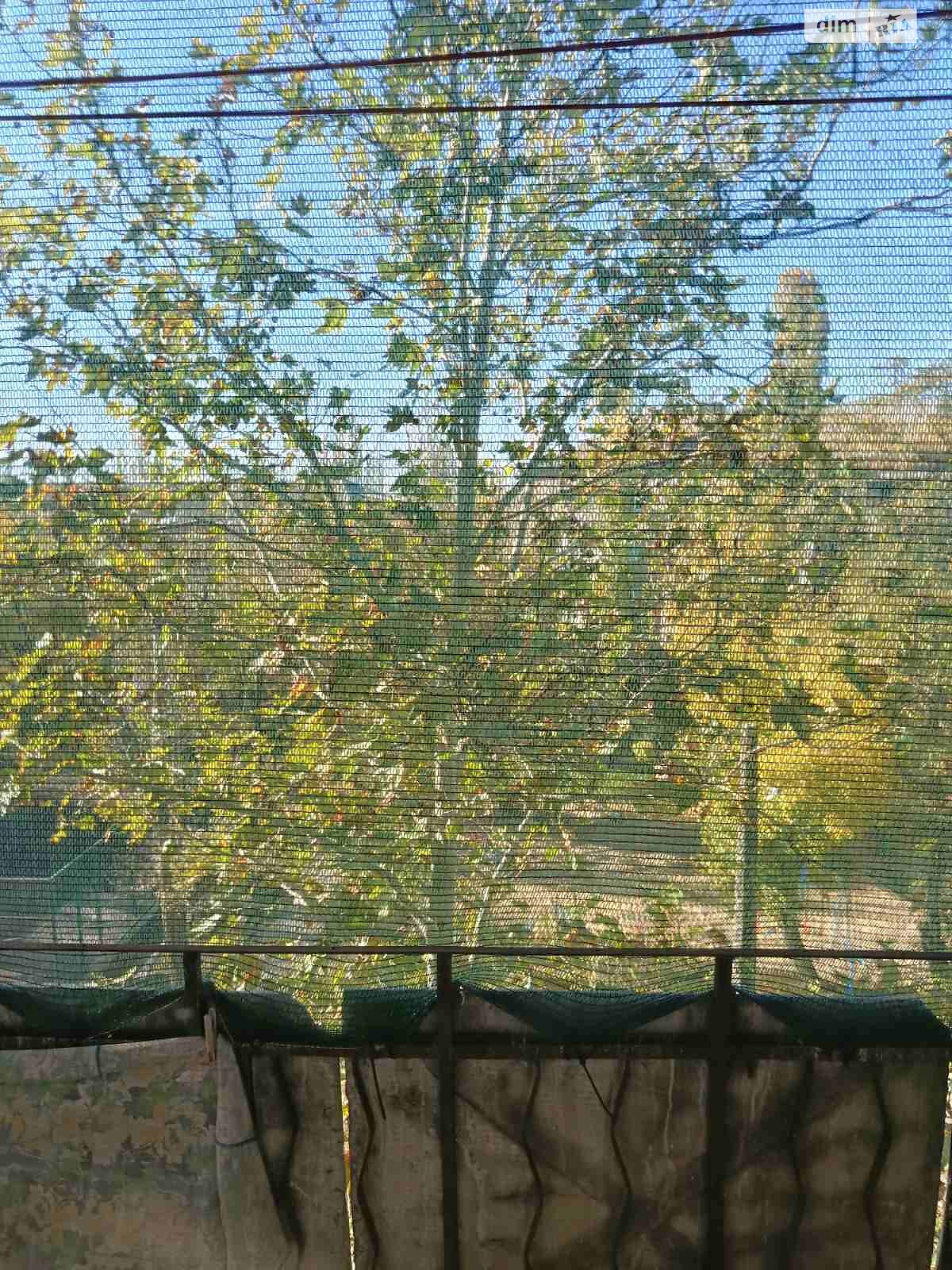 Продаж двокімнатної квартири в Миколаєві, на вул. Професора Бузніка, район Центральний фото 1