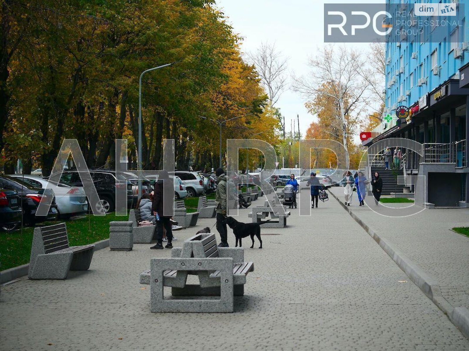 Продаж однокімнатної квартири в Новосілках, на вул. Приміська 22Б, фото 1 Продаж однокімнатної квартири в Новосілках, на вул. Приміська 22Б, фото 1