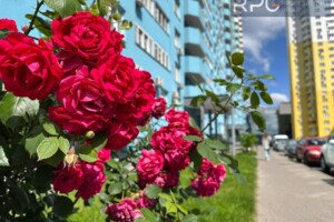 Продажа однокомнатной квартиры в Новоселках, на ул. Пригородная 24, фото 2