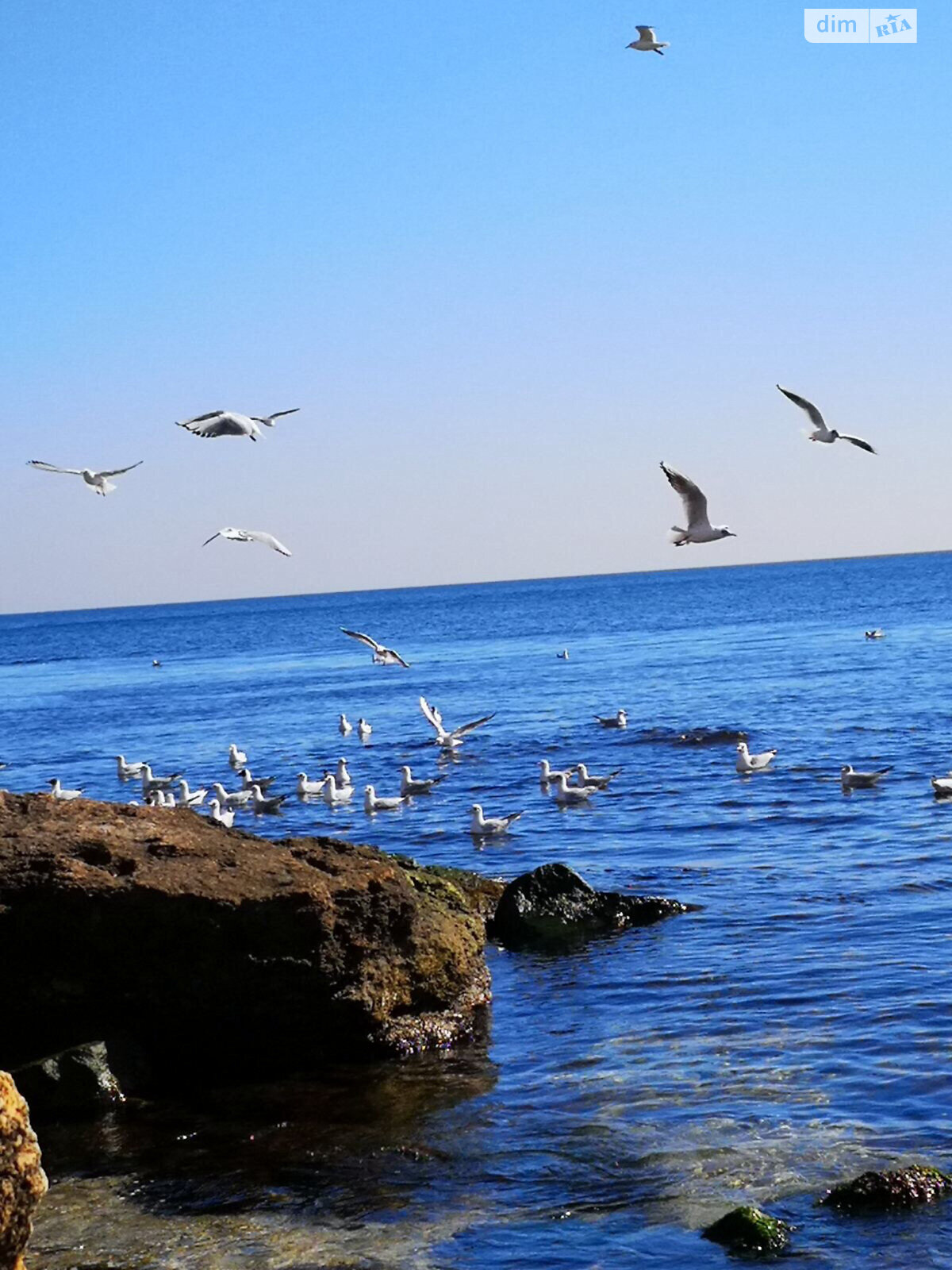 Продаж трикімнатної квартири в Одесі, на пров. Морехідний, район Аркадія фото 1 Продаж трикімнатної квартири в Одесі, на пров. Морехідний, район Аркадія фото 1