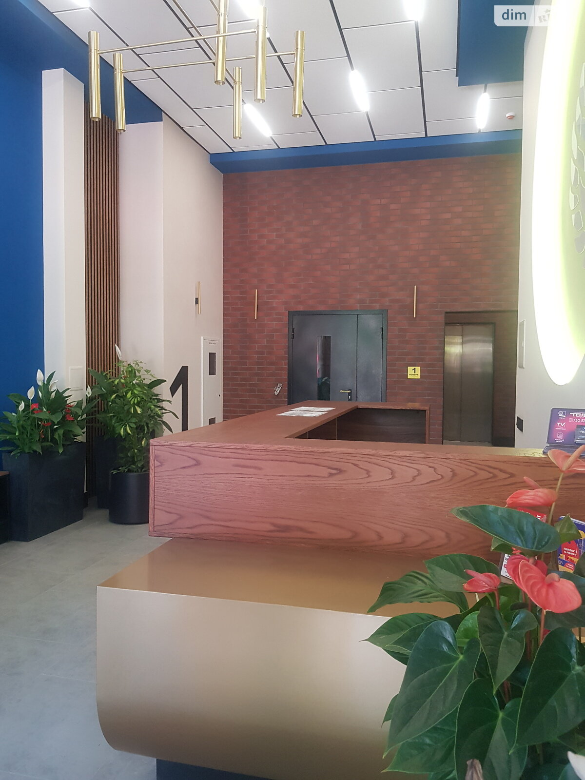 Продажа однокомнатной квартиры в Одессе, на ул. Дачная, район Большой Фонтан фото 1 Продажа однокомнатной квартиры в Одессе, на ул. Дачная, район Большой Фонтан фото 1