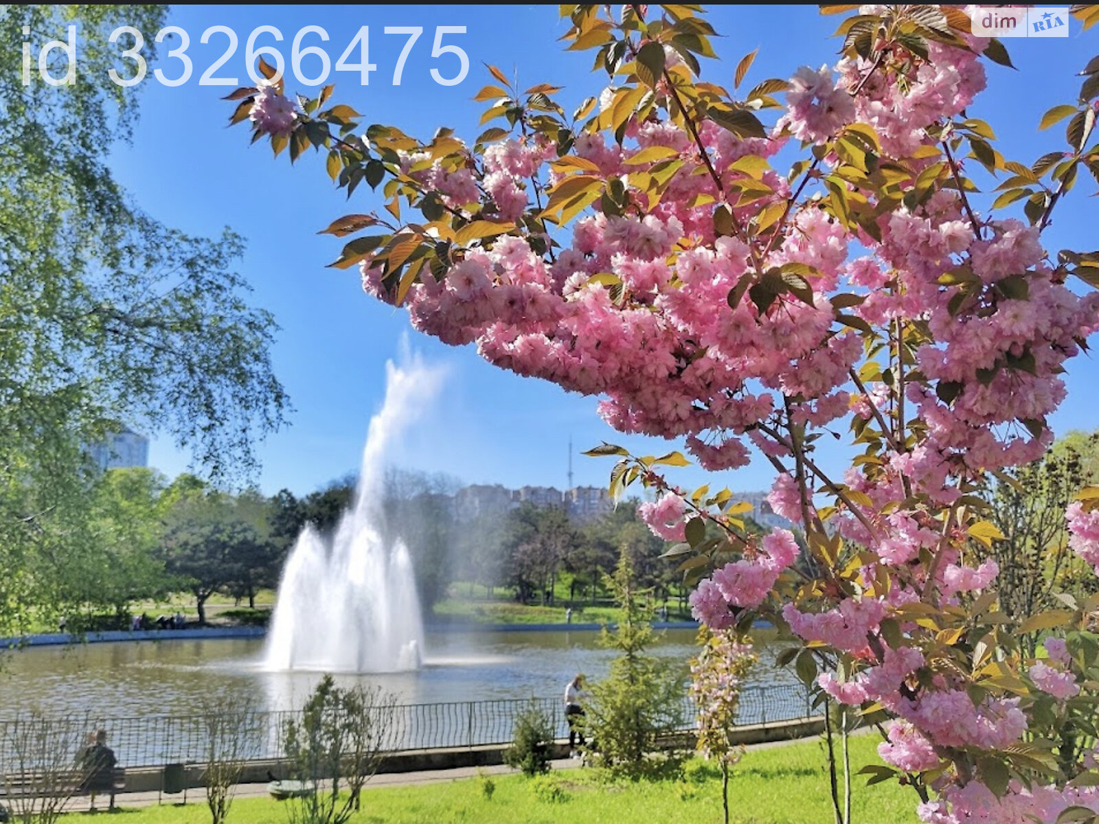 Продажа однокомнатной квартиры в Одессе, на ул. Добровольцев 10/6 корпус 3, район Большой Фонтан фото 1 Продажа однокомнатной квартиры в Одессе, на ул. Добровольцев 10/6 корпус 3, район Большой Фонтан фото 1