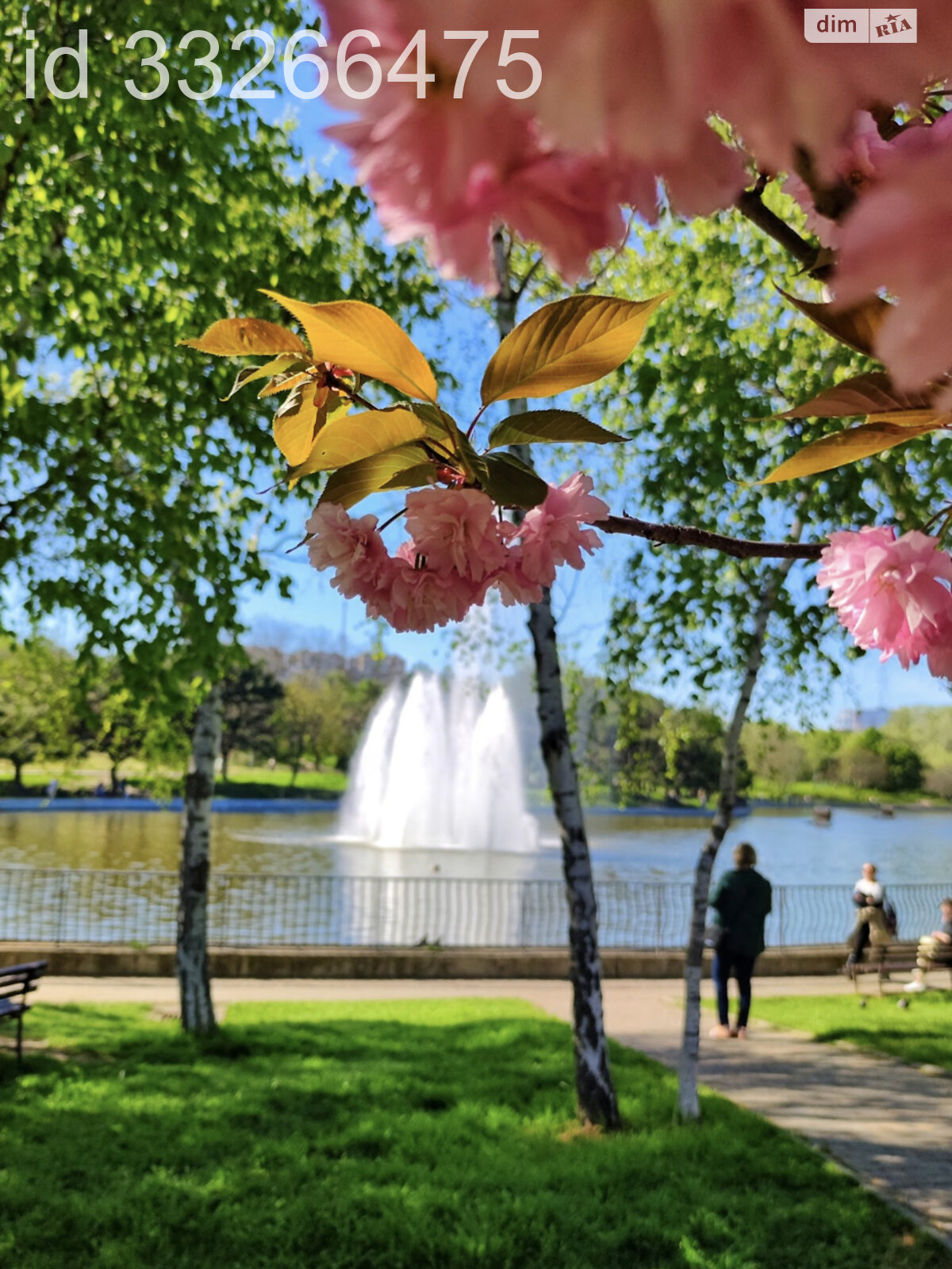 Продажа однокомнатной квартиры в Одессе, на ул. Добровольцев 10/6 корпус 3, район Большой Фонтан фото 1 Продажа однокомнатной квартиры в Одессе, на ул. Добровольцев 10/6 корпус 3, район Большой Фонтан фото 1