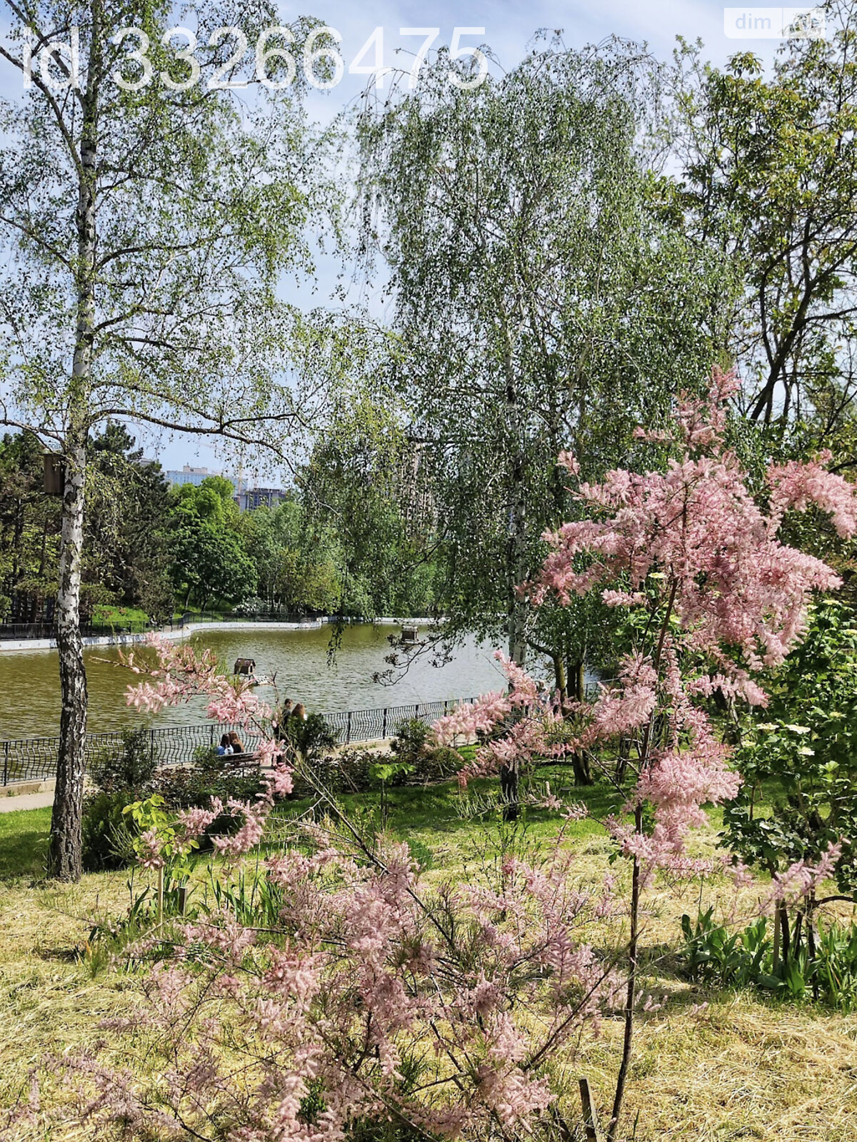 Продажа однокомнатной квартиры в Одессе, на ул. Добровольцев 10/6 корпус 3, район Большой Фонтан фото 1 Продажа однокомнатной квартиры в Одессе, на ул. Добровольцев 10/6 корпус 3, район Большой Фонтан фото 1