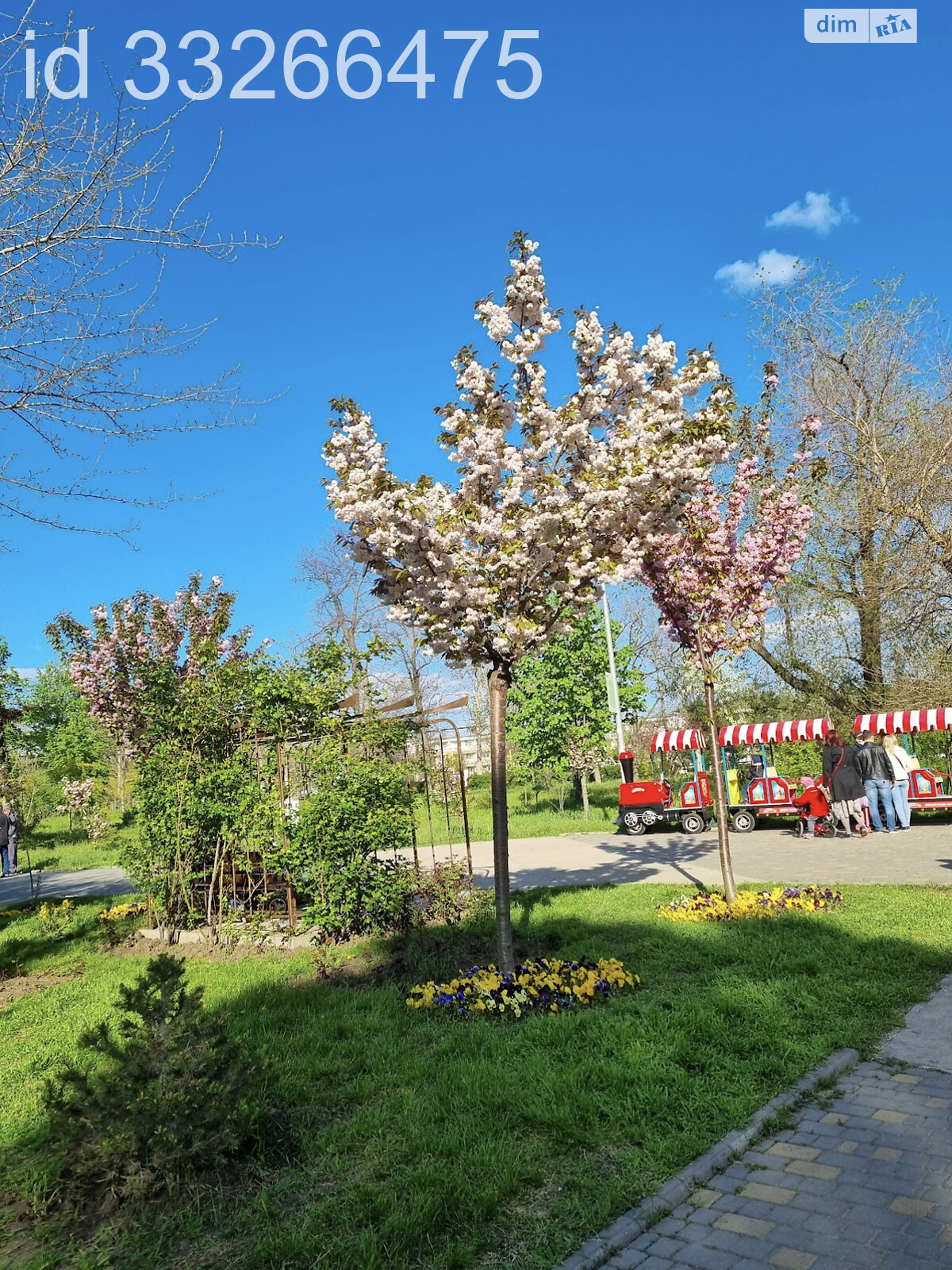 Продажа однокомнатной квартиры в Одессе, на ул. Добровольцев 10/6 корпус 3, район Большой Фонтан фото 1 Продажа однокомнатной квартиры в Одессе, на ул. Добровольцев 10/6 корпус 3, район Большой Фонтан фото 1