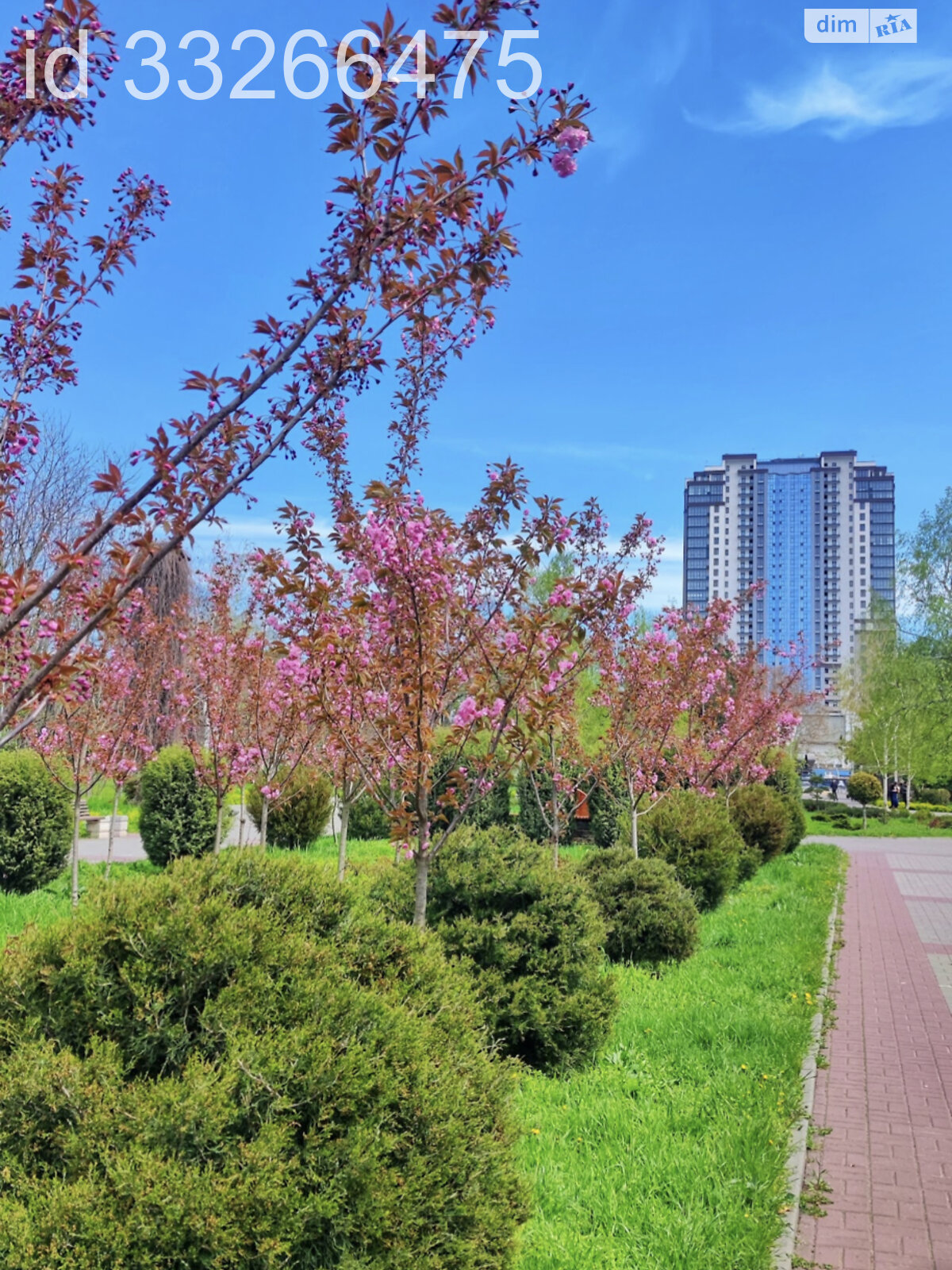 Продажа однокомнатной квартиры в Одессе, на ул. Добровольцев 10/6 корпус 3, район Большой Фонтан фото 1 Продажа однокомнатной квартиры в Одессе, на ул. Добровольцев 10/6 корпус 3, район Большой Фонтан фото 1