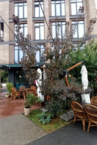 Продажа однокомнатной квартиры в Одессе, на ул. Дмитриевская 59/1, район Чубаевка фото 2