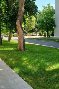 Продаж однокімнатної квартири в Одесі, на вул. Боровського Миколи, район Хаджибейський фото 2