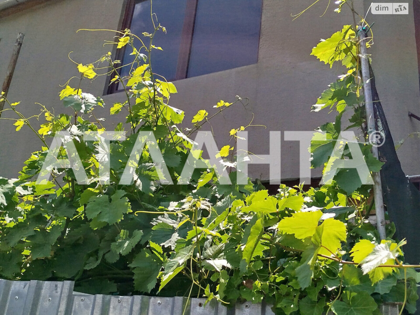 Продажа двухкомнатной квартиры в Одессе, на ул. Известковая, район Пересыпский фото 1 Продажа двухкомнатной квартиры в Одессе, на ул. Известковая, район Пересыпский фото 1