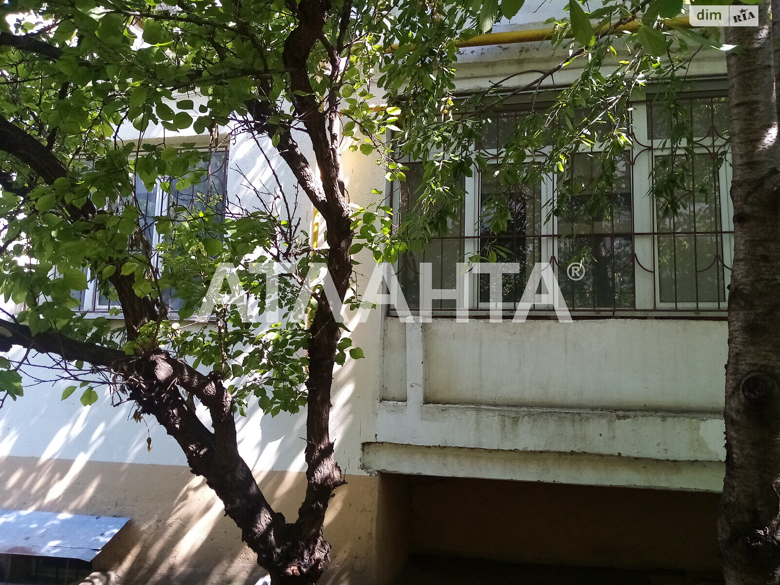 Продажа однокомнатной квартиры в Одессе, на ул. Головковская, район Хаджибейский фото 1 Продажа однокомнатной квартиры в Одессе, на ул. Головковская, район Хаджибейский фото 1
