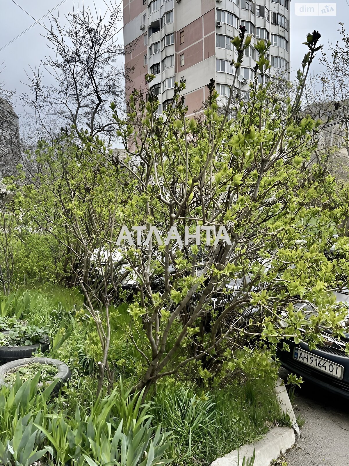 Продажа двухкомнатной квартиры в Одессе, на ул. Евгения Чикаленко, район Таирова фото 1 Продажа двухкомнатной квартиры в Одессе, на ул. Евгения Чикаленко, район Таирова фото 1