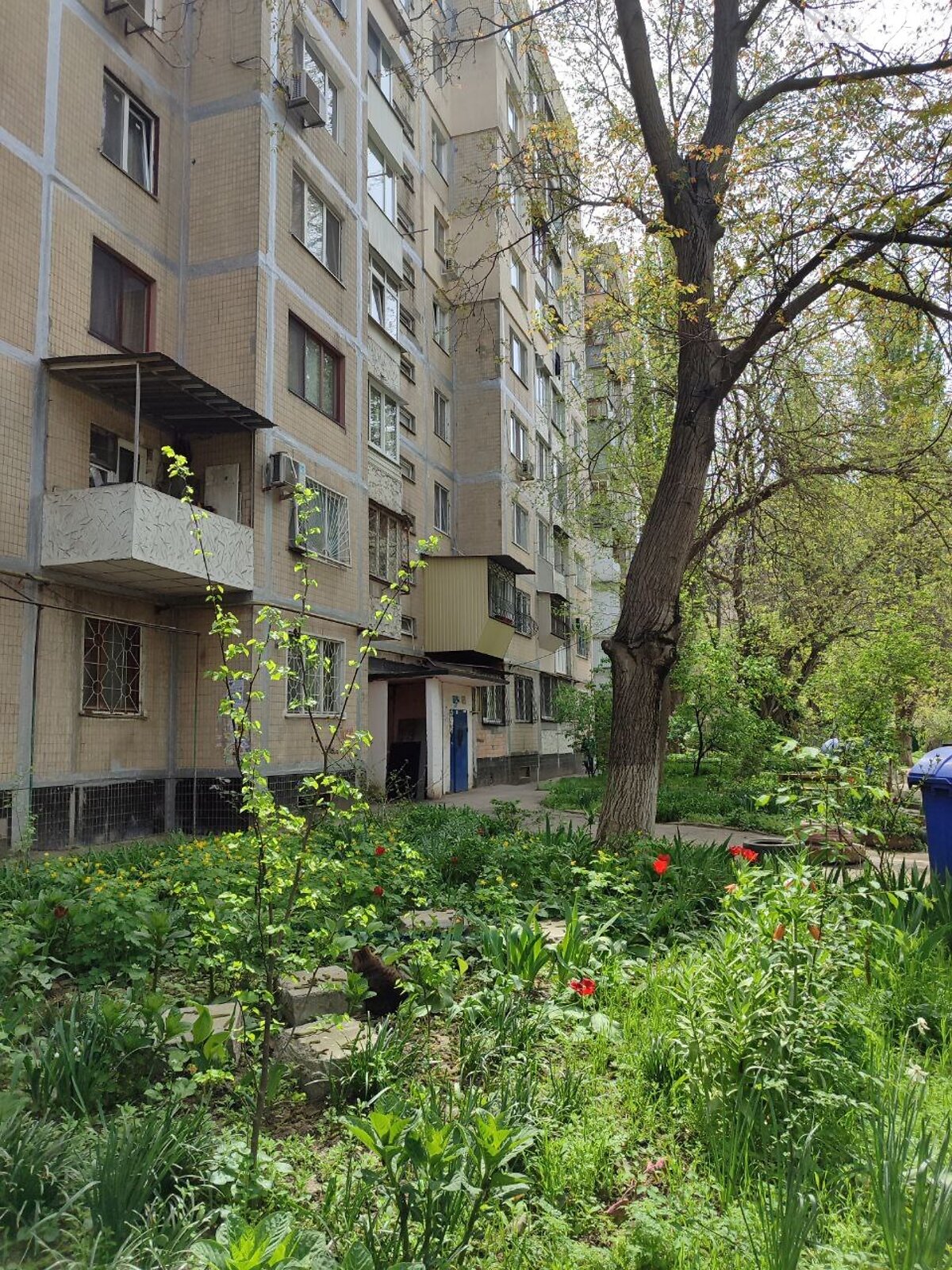 Продажа трехкомнатной квартиры в Одессе, на ул. Люстдорфская дорога 146/2, фото 1 Продажа трехкомнатной квартиры в Одессе, на ул. Люстдорфская дорога 146/2, фото 1