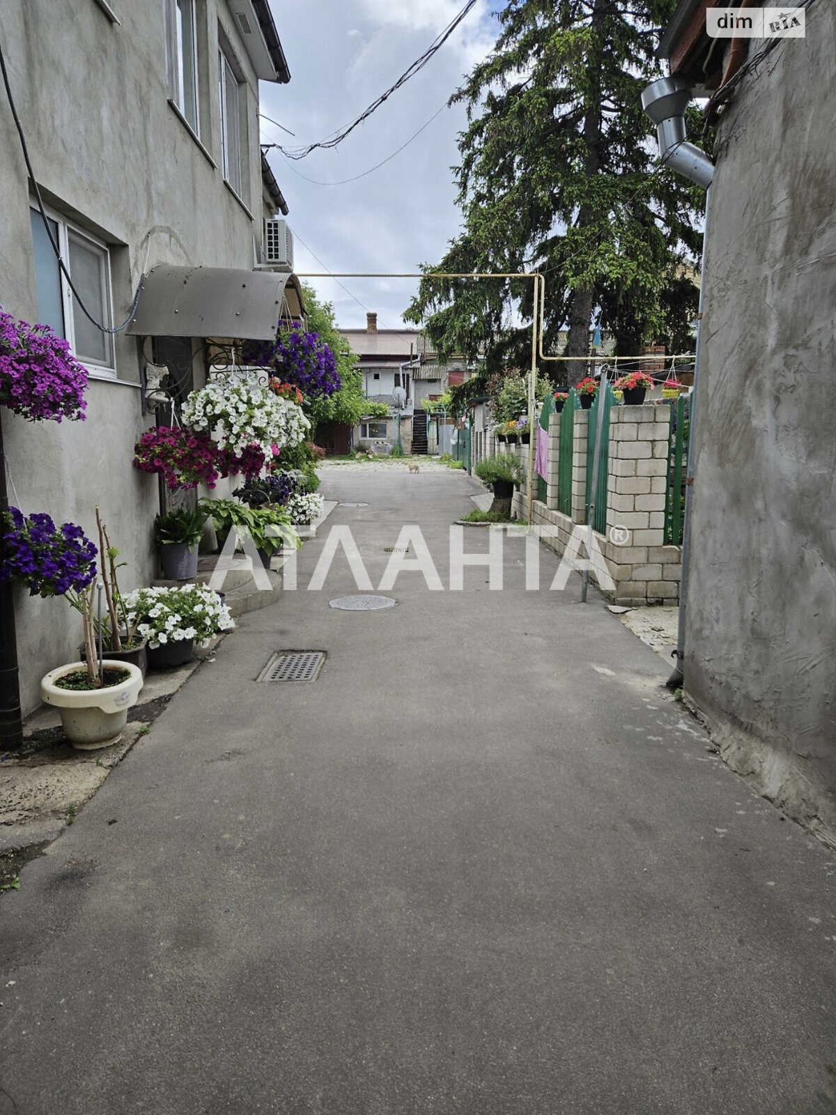 Продажа двухкомнатной квартиры в Одессе, на ул. Адмирала Лазарева, район Молдаванка фото 1 Продажа двухкомнатной квартиры в Одессе, на ул. Адмирала Лазарева, район Молдаванка фото 1
