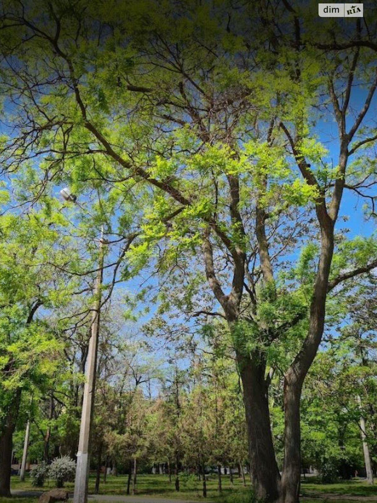 Продаж однокімнатної квартири в Одесі, на вул. Олексіївська, район Молдаванка фото 1 Продаж однокімнатної квартири в Одесі, на вул. Олексіївська, район Молдаванка фото 1