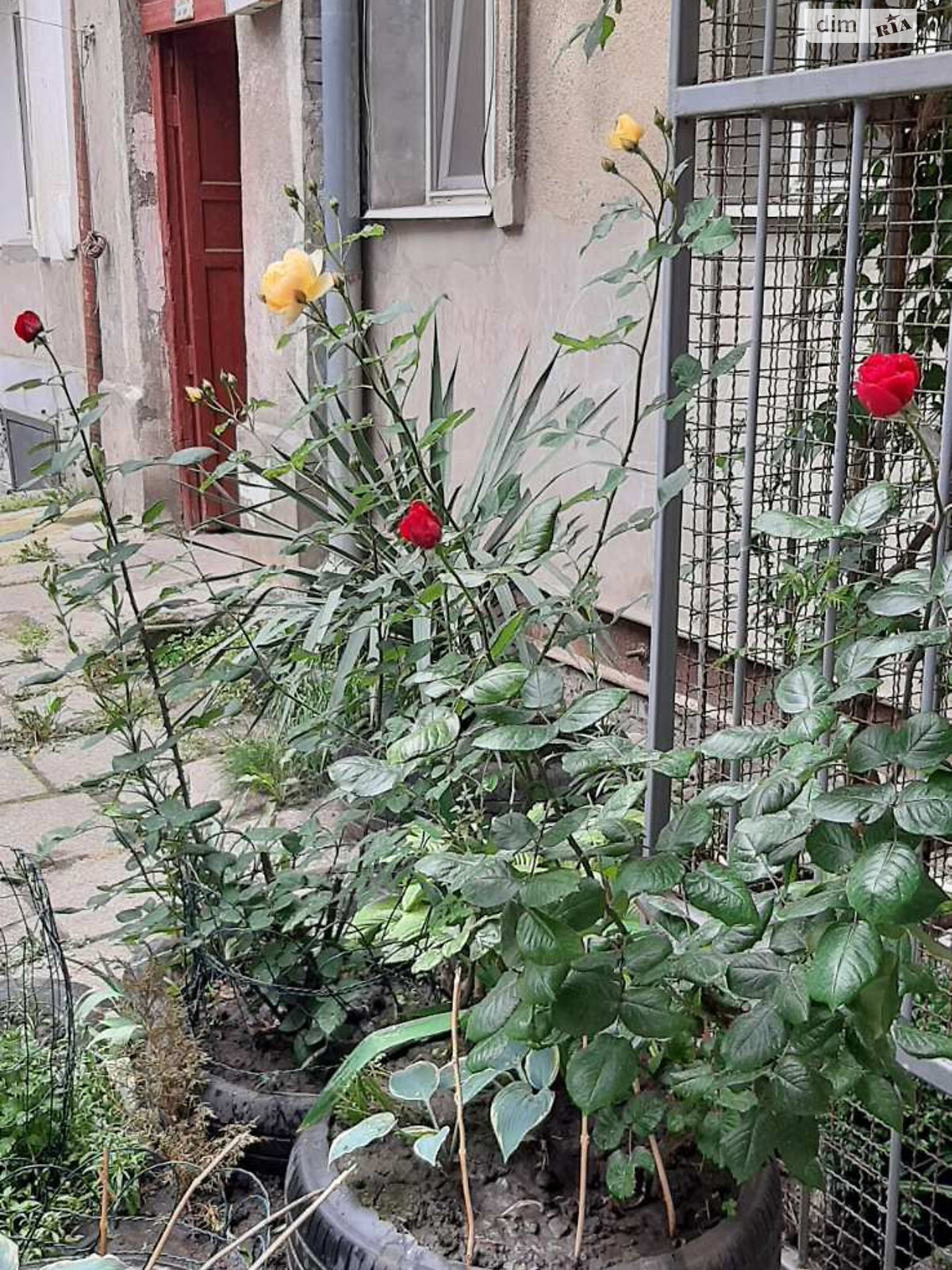 Продажа двухкомнатной квартиры в Одессе, на ул. Болгарская, район Молдаванка фото 1 Продажа двухкомнатной квартиры в Одессе, на ул. Болгарская, район Молдаванка фото 1