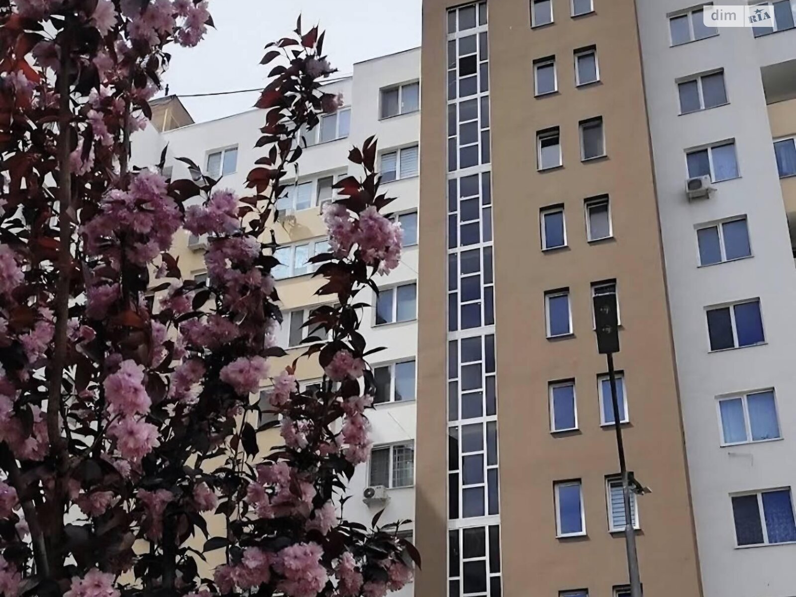 Продажа однокомнатной квартиры в Крыжановка, на ул. Академика Сахарова, фото 1