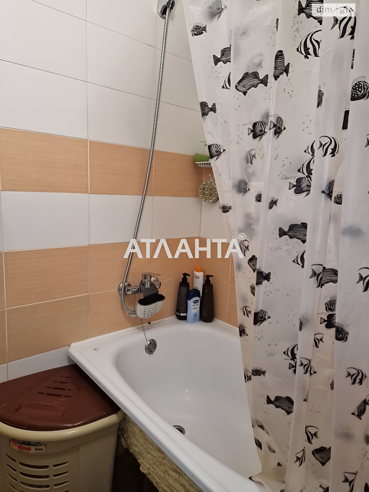 Продаж однокімнатної квартири в Одесі, на вул. Давида Ойстраха, район Пересипський фото 1 Продаж однокімнатної квартири в Одесі, на вул. Давида Ойстраха, район Пересипський фото 1
