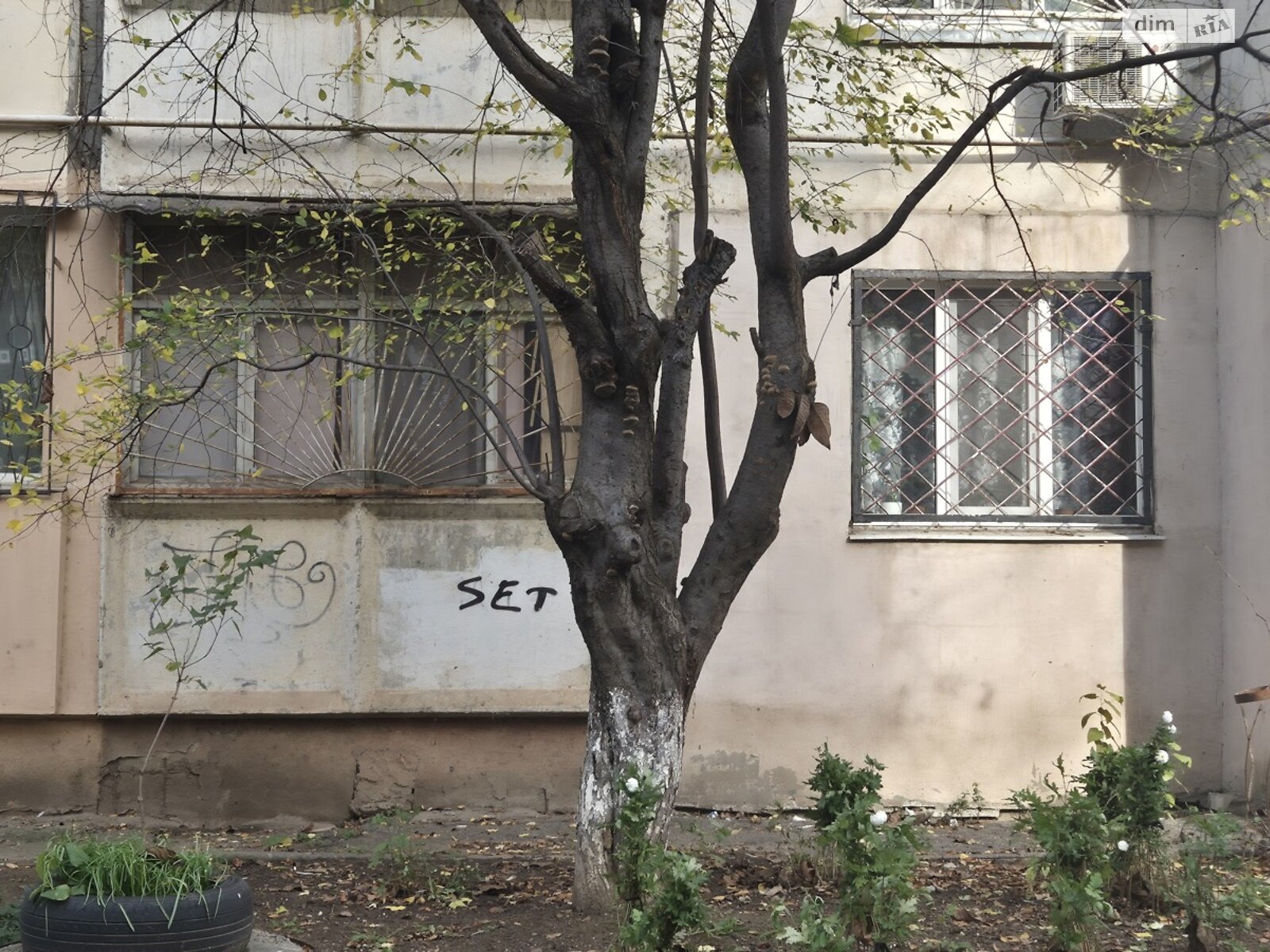 Продажа трехкомнатной квартиры в Одессе, на ул. Академика Заболотного, район Поселок Котовского фото 1 Продажа трехкомнатной квартиры в Одессе, на ул. Академика Заболотного, район Поселок Котовского фото 1