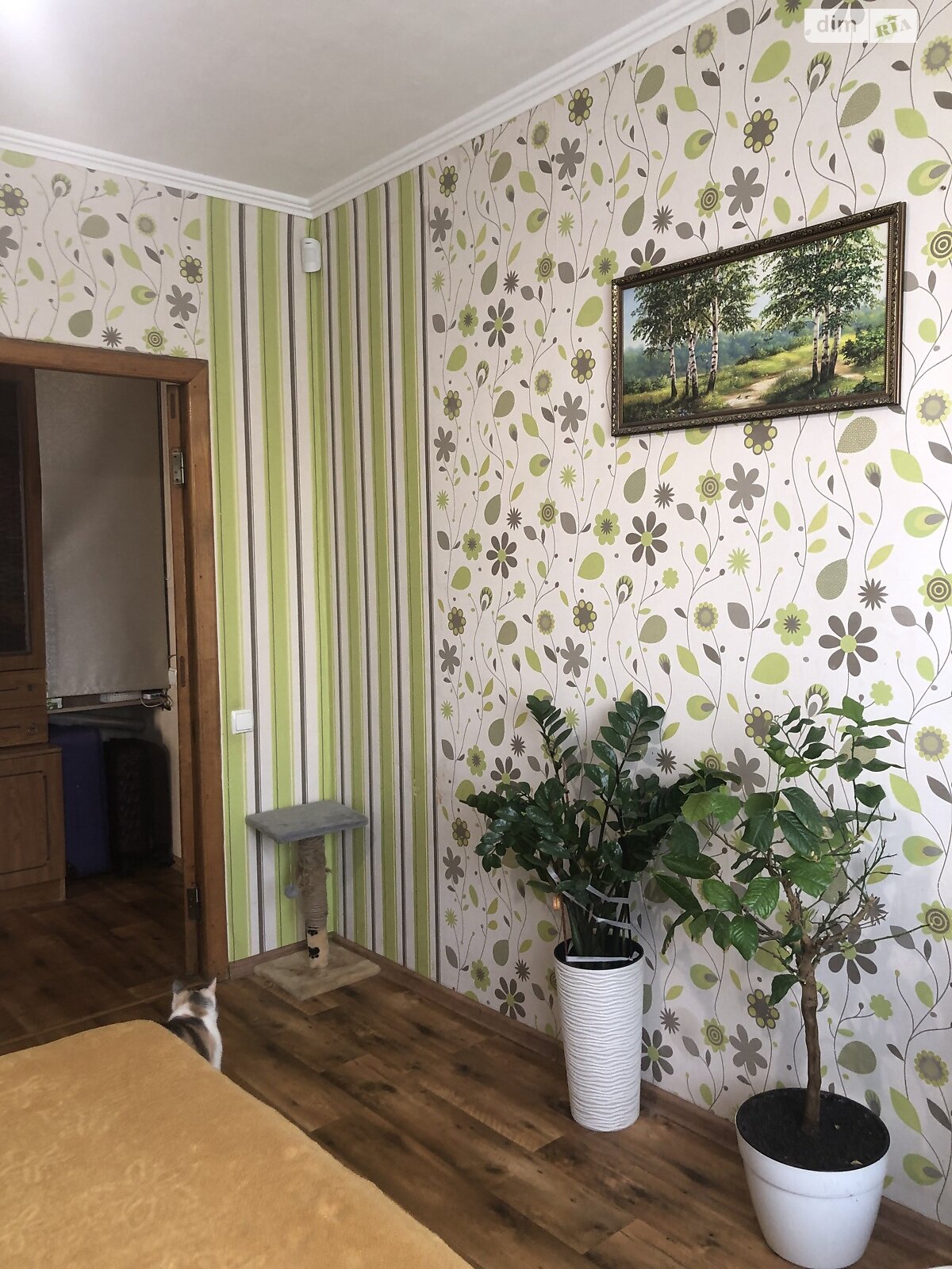 Продаж двокімнатної квартири в Одесі, на просп. Князя Володимира Великого, район Містечко Котовського фото 1 Продаж двокімнатної квартири в Одесі, на просп. Князя Володимира Великого, район Містечко Котовського фото 1